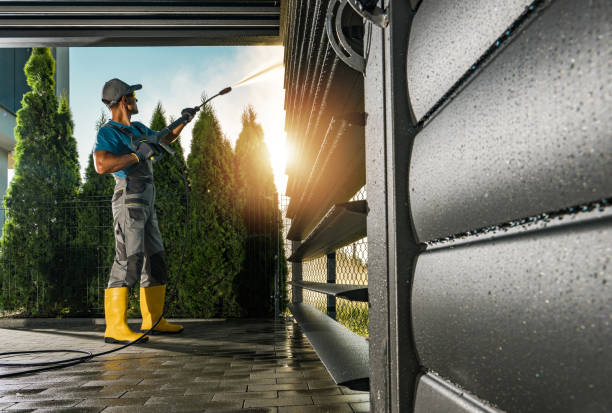 Best Driveway Pressure Washing  in Belington, WV